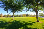 Central Park residents enjoy a large grass field for activities
