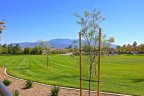 Crowne Hill boasts a large open grassy area with a park