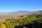 Many De Luz homes feature private avocado groves