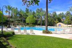 Enjoy the large community pool at Paseo Del Sol