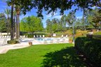 Enjoy the large community spa at Paseo Del Sol